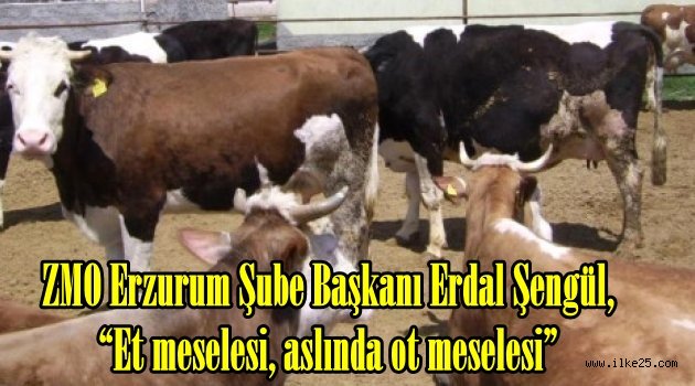 ZMO Erzurum Şube Başkanı Erdal Şengül, "Et meselesi, aslında ot meselesi"