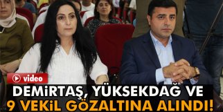 Figen Yüksekdağ'ın gözaltına alındığı anlar